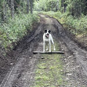 A Different Path